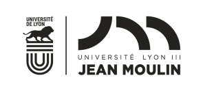 Université Jean Moulin Lyon 3 - Facutté de Droit - Institut Droit et Culture