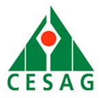 CESAG - Centre Africain d'Etudes Supérieures en Gestion